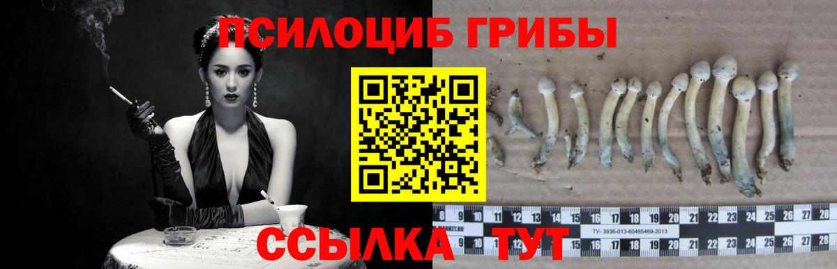 Псилоцибиновые грибы мухоморы  Вход с VPN  Галлюциногенные грибы прущие грибы  Тосно 